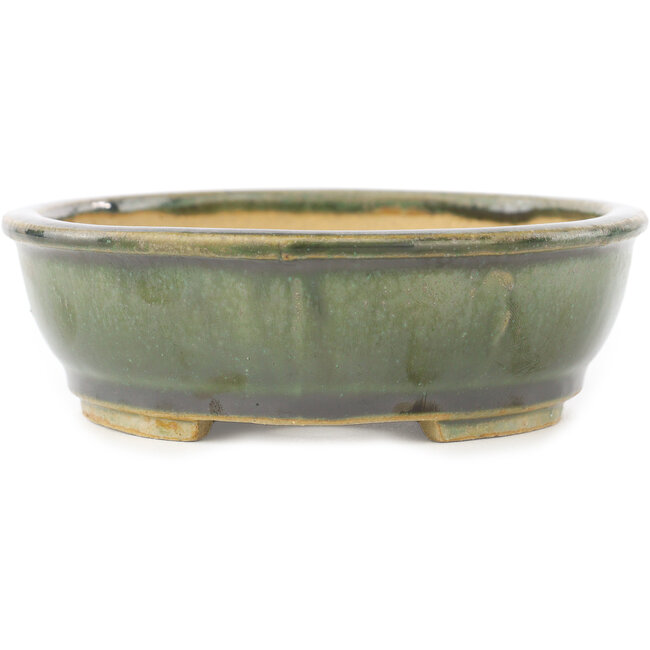 Maceta ovalada verde para bonsái de Shibakatsu - 155 x 126 x 40 mm