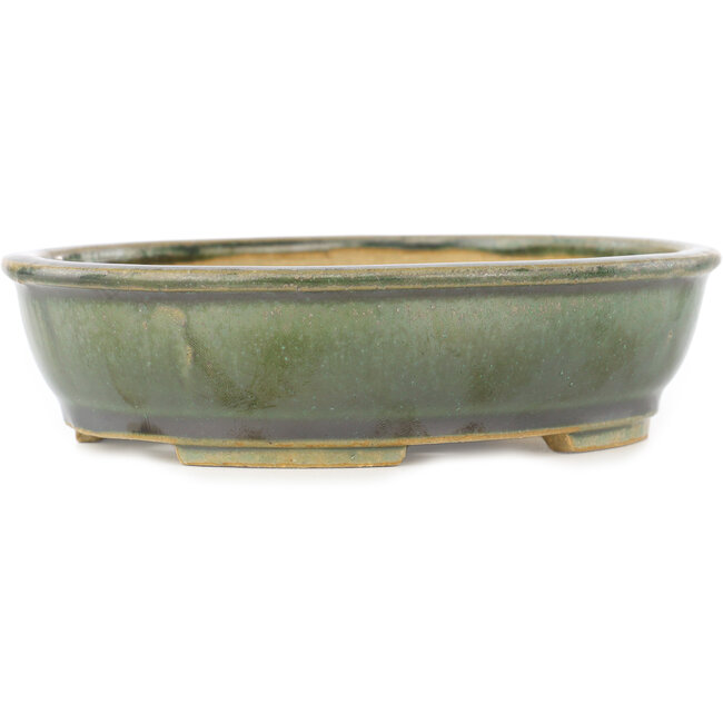 Oval green bonsai pot by Shibakatsu - 155 x 126 x 40 mm