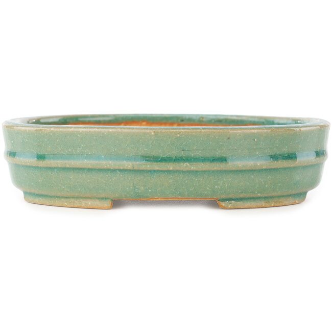 Maceta ovalada verde para bonsái de Shibakatsu - 153 x 127 x 37 mm