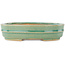 Pot à bonsaï ovale vert de Shibakatsu - 153 x 127 x 37 mm