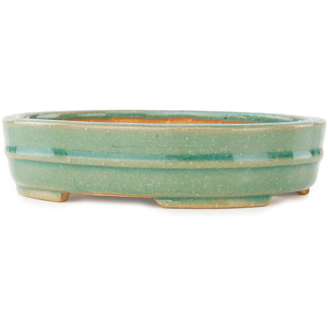 Pot à bonsaï ovale vert de Shibakatsu - 153 x 127 x 37 mm