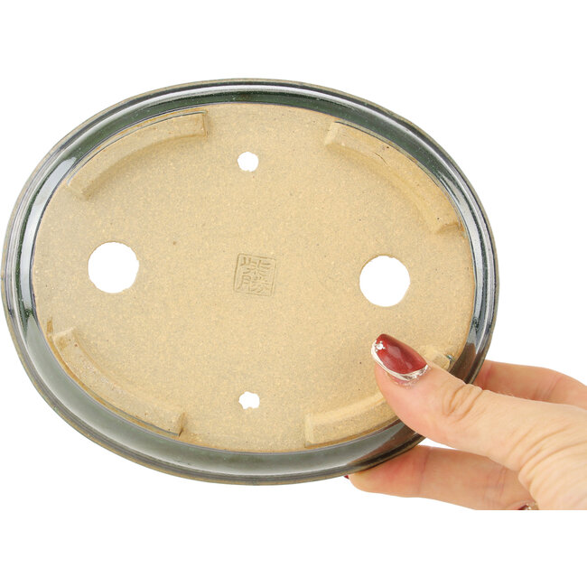 Pot à bonsaï ovale vert de Shibakatsu - 155 x 126 x 40 mm