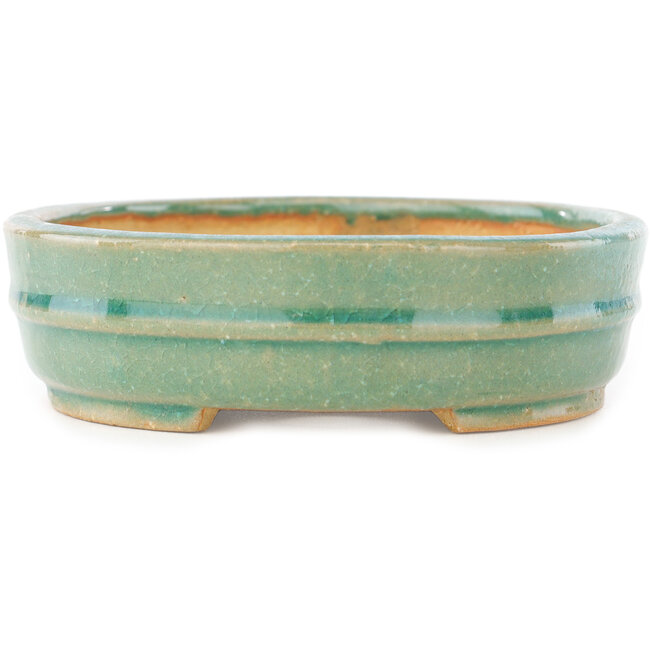 Oval green bonsai pot by Shibakatsu - 153 x 127 x 37 mm