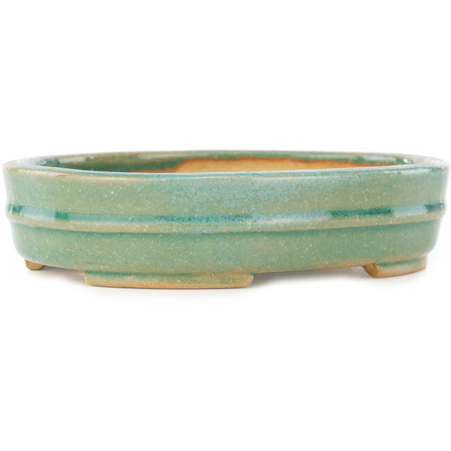 Oval green bonsai pot by Shibakatsu - 153 x 127 x 37 mm