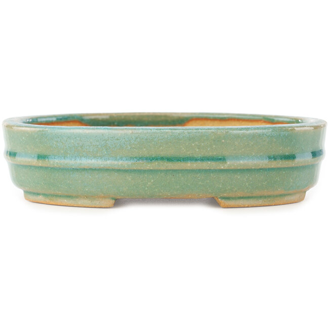 Maceta ovalada verde para bonsái de Shibakatsu - 153 x 127 x 37 mm