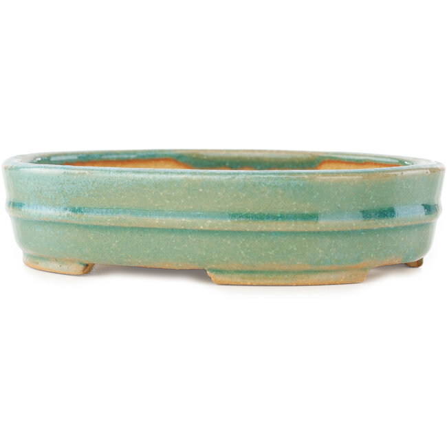 Pot à bonsaï ovale vert de Shibakatsu - 153 x 127 x 37 mm