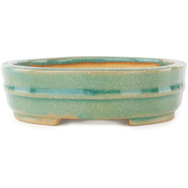 Oval green bonsai pot by Shibakatsu - 153 x 127 x 37 mm