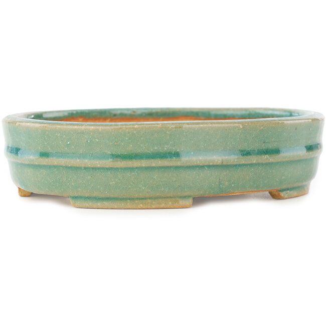 Pot à bonsaï ovale vert de Shibakatsu - 153 x 127 x 37 mm