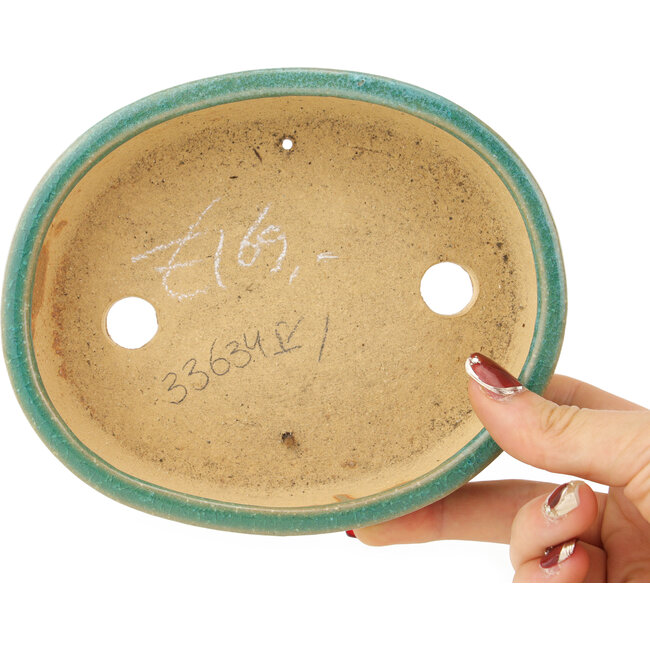 Pot à bonsaï ovale vert de Shibakatsu - 153 x 127 x 37 mm