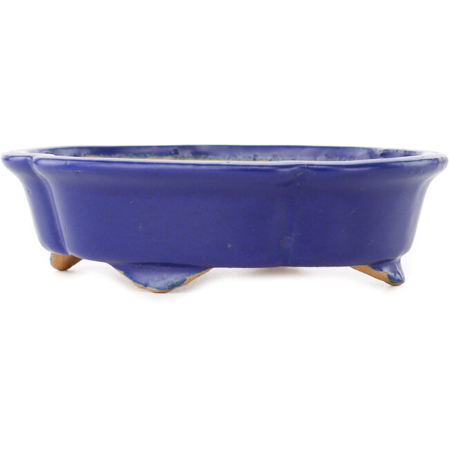Pot à bonsaï Mokko bleu foncé de Shibakatsu - 160 x 135 x 45 mm