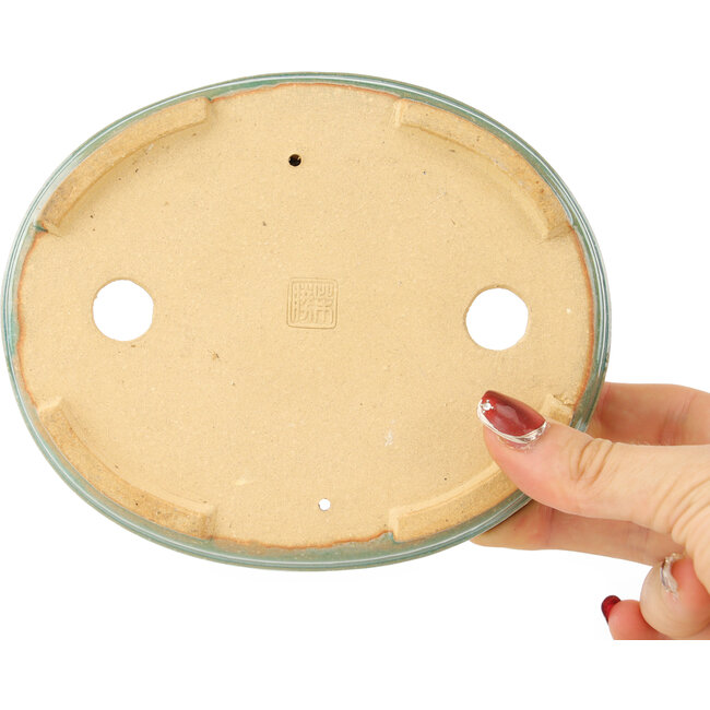 Maceta ovalada verde para bonsái de Shibakatsu - 153 x 127 x 37 mm