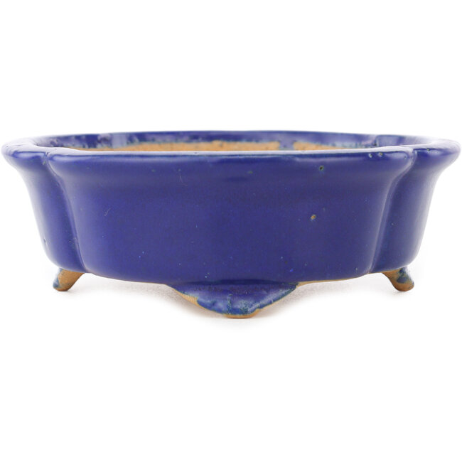 Maceta para bonsái azul oscuro Mokko de Shibakatsu - 160 x 135 x 45 mm