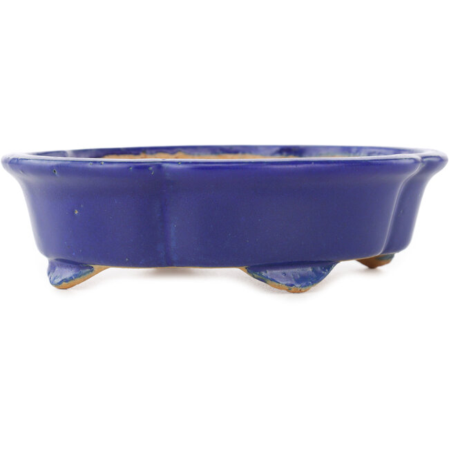 Vaso bonsai Mokko blu scuro di Shibakatsu - 160 x 135 x 45 mm