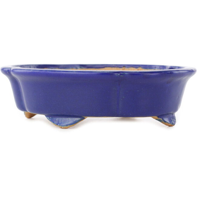 Vaso bonsai Mokko blu scuro di Shibakatsu - 160 x 135 x 45 mm