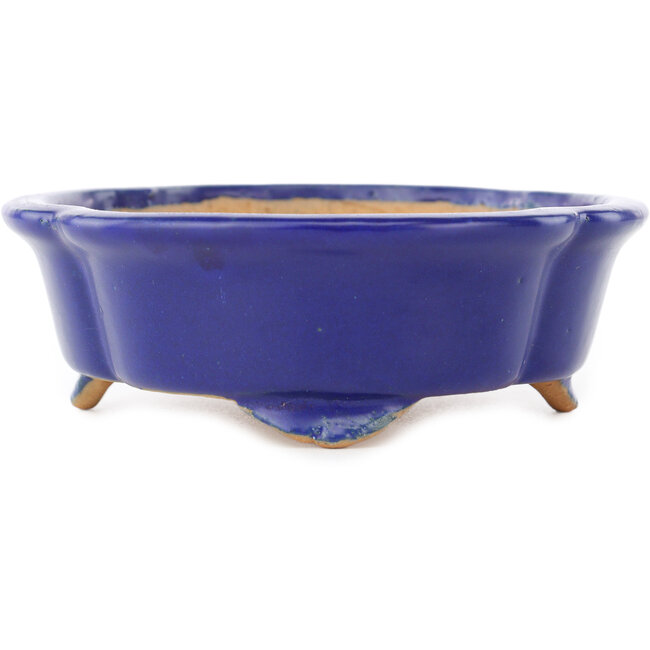 Pot à bonsaï Mokko bleu foncé de Shibakatsu - 160 x 135 x 45 mm