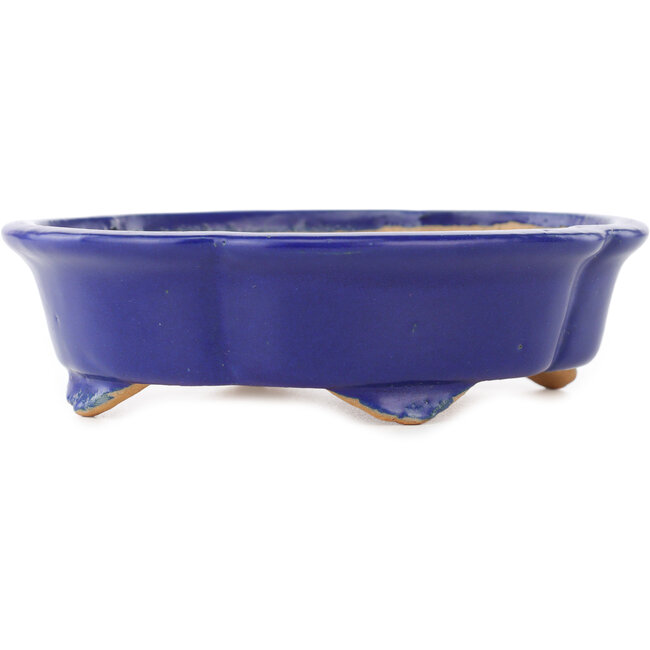 Vaso bonsai Mokko blu scuro di Shibakatsu - 160 x 135 x 45 mm