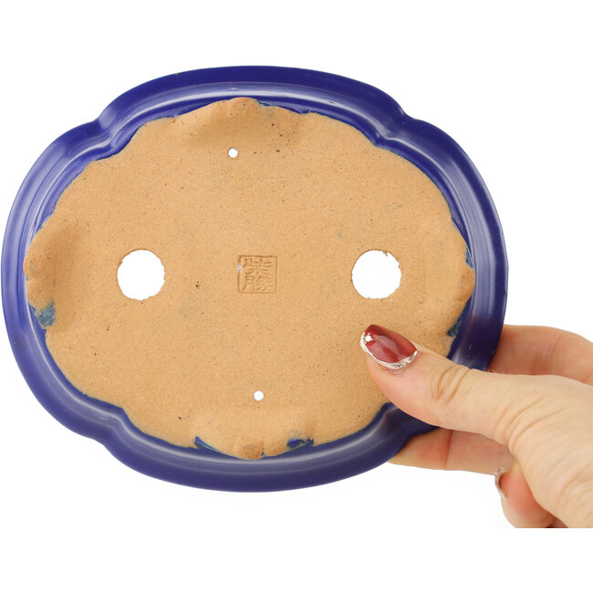 Pot à bonsaï Mokko bleu foncé de Shibakatsu - 160 x 135 x 45 mm