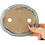 Maceta para bonsái azul Mokko de Shibakatsu - 160 x 135 x 45 mm
