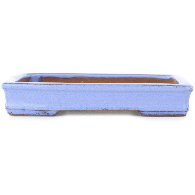Maceta rectangular morada para bonsái de Shibakatsu - 142 x 117 x 25 mm