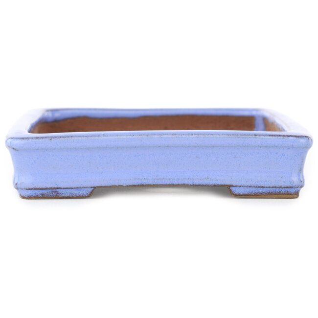 Maceta rectangular morada para bonsái de Shibakatsu - 142 x 117 x 25 mm