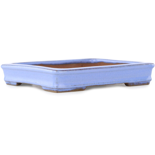 Vaso bonsai rettangolare viola di Shibakatsu - 142 x 117 x 25 mm