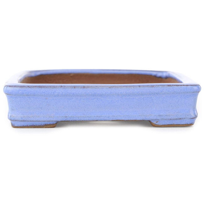 Maceta rectangular morada para bonsái de Shibakatsu - 142 x 117 x 25 mm