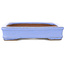 Maceta rectangular morada para bonsái de Shibakatsu - 142 x 117 x 25 mm