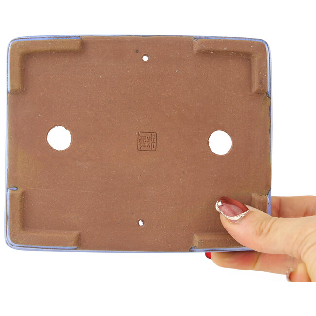 Maceta rectangular morada para bonsái de Shibakatsu - 142 x 117 x 25 mm