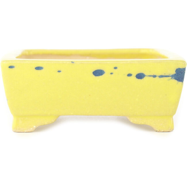 Vaso bonsai rettangolare giallo e blu di Shibakatsu - 128 x 98 x 38 mm
