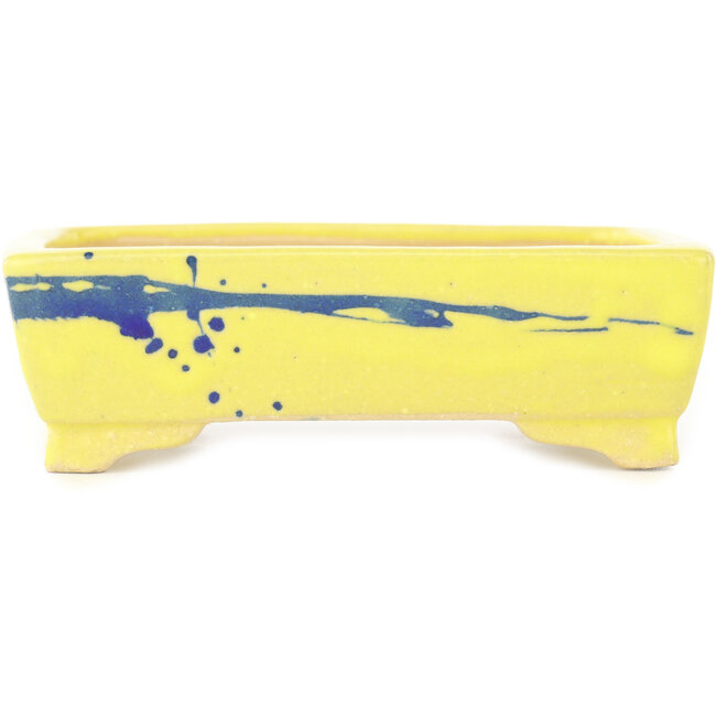 Pot à bonsaï rectangulaire jaune et bleu de Shibakatsu - 128 x 98 x 38 mm