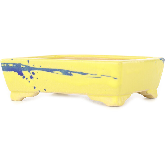 Vaso bonsai rettangolare giallo e blu di Shibakatsu - 128 x 98 x 38 mm