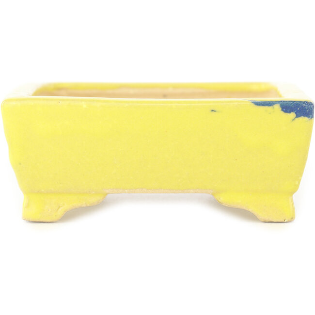 Pot à bonsaï rectangulaire jaune et bleu de Shibakatsu - 128 x 98 x 38 mm