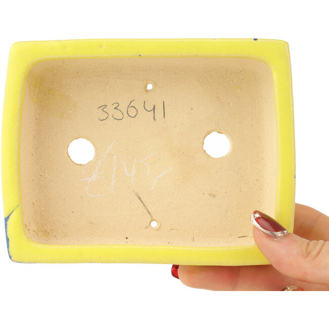 Maceta rectangular amarilla y azul para bonsái de Shibakatsu - 128 x 98 x 38 mm