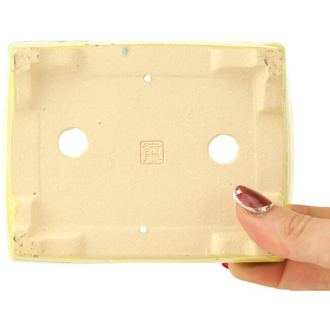 Maceta rectangular amarilla y azul para bonsái de Shibakatsu - 128 x 98 x 38 mm