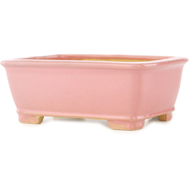 Maceta rectangular rosa para bonsái de Shibakatsu - 128 x 100 x 50 mm