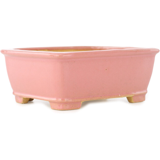 Pot à bonsaï rectangulaire rose de Shibakatsu - 128 x 100 x 50 mm