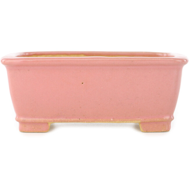 Maceta rectangular rosa para bonsái de Shibakatsu - 128 x 100 x 50 mm