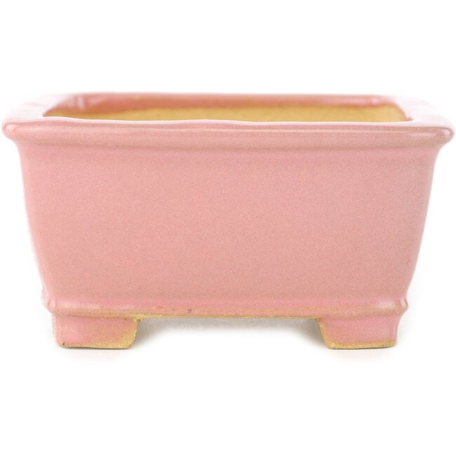 Vaso bonsai rettangolare rosa di Shibakatsu - 128 x 100 x 50 mm