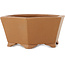 Hexagonal unglazed bonsai pot by Shibakatsu - 117 x 117 x 51 mm