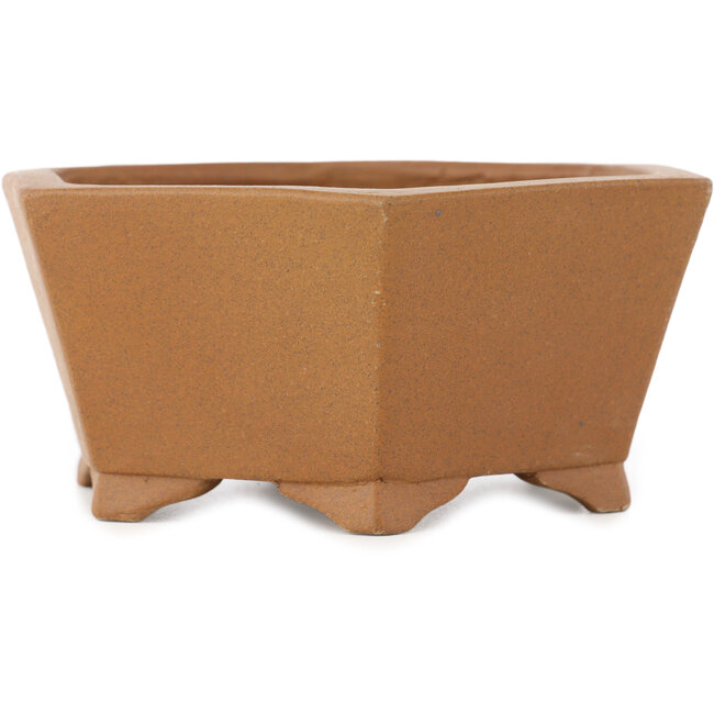 Vaso bonsai esagonale non smaltato di Shibakatsu - 117 x 117 x 51 mm