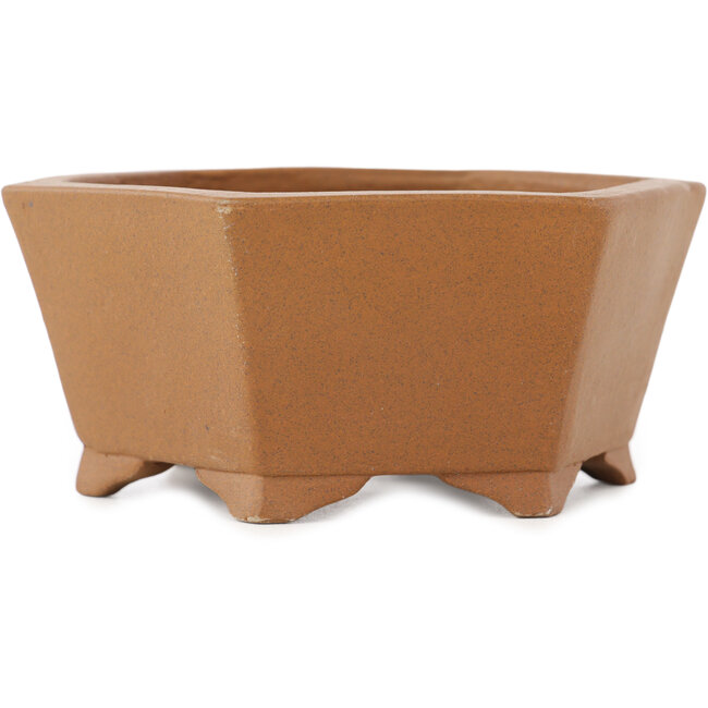Maceta hexagonal sin esmaltar para bonsái de Shibakatsu - 117 x 117 x 51 mm