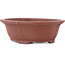 Pot à bonsaï non émaillé Mokko de Shibakatsu - 140 x 125 x 50 mm