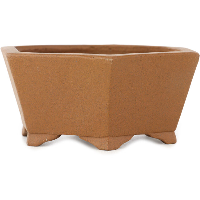Vaso bonsai esagonale non smaltato di Shibakatsu - 117 x 117 x 51 mm