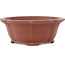 Pot à bonsaï non émaillé Mokko de Shibakatsu - 140 x 125 x 50 mm