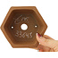 Hexagonal unglazed bonsai pot by Shibakatsu - 117 x 117 x 51 mm