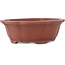 Pot à bonsaï non émaillé Mokko de Shibakatsu - 140 x 125 x 50 mm