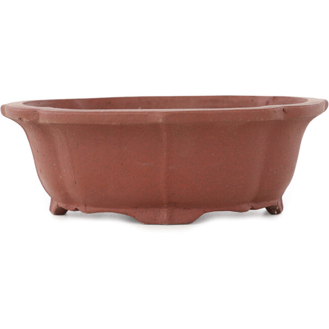 Vaso bonsai Mokko non smaltato di Shibakatsu - 140 x 125 x 50 mm