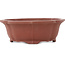 Pot à bonsaï non émaillé Mokko de Shibakatsu - 140 x 125 x 50 mm