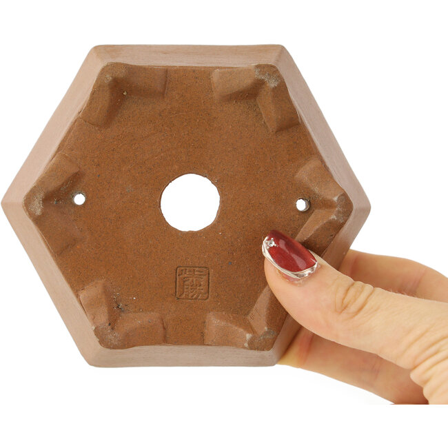 Maceta hexagonal sin esmaltar para bonsái de Shibakatsu - 117 x 117 x 51 mm