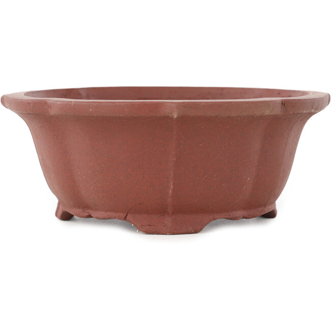 Maceta para bonsái sin esmaltar Mokko de Shibakatsu - 140 x 125 x 50 mm